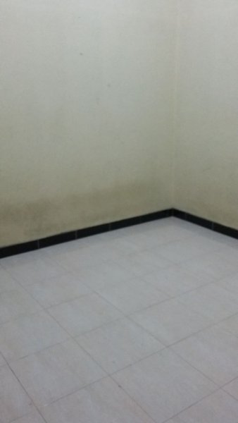 kost-grandis-1941916877_large